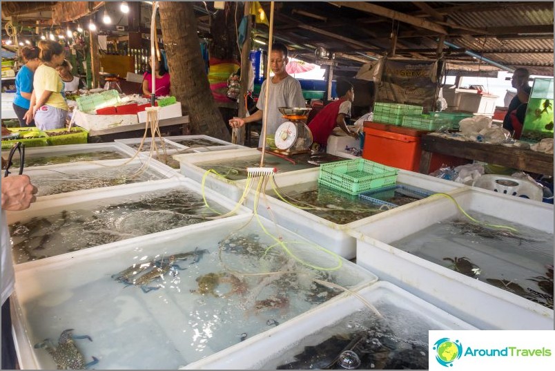 Fish market in Phuket, Rawai