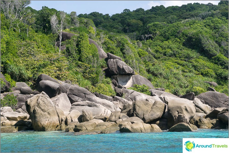 Intorno alla lussureggiante natura tropicale