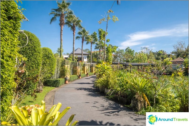 Jardin botanique de Phuket - pour les amateurs de plantes et de selfies