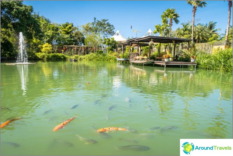 Jardin botanique de Phuket - pour les amateurs de plantes et de selfies