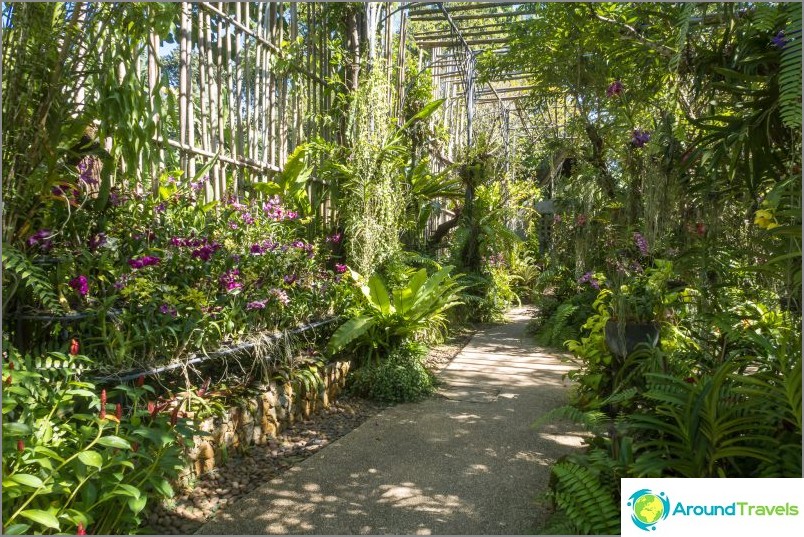 Phuket botaniska trädgård