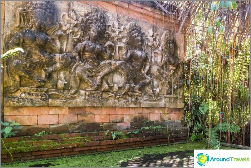 Jardin botanique de Phuket - pour les amateurs de plantes et de selfies