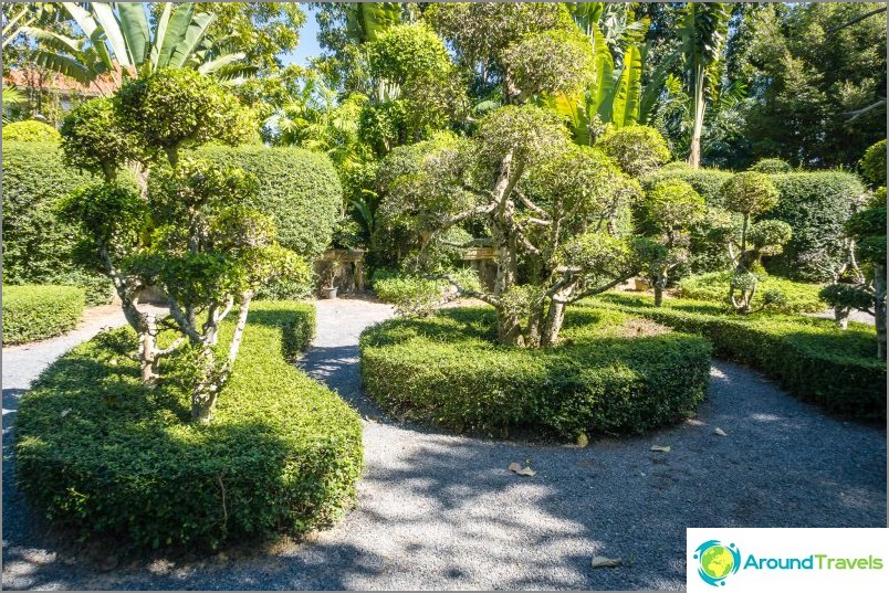 Phuket Botanical Garden - för växt- och selfieälskare