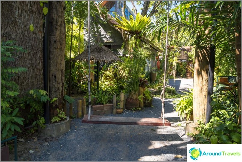 Jardin botanique de Phuket - pour les amateurs de plantes et de selfies