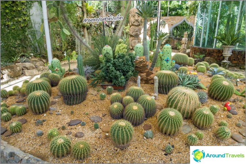 Phuket Botanical Garden - för växt- och selfieälskare