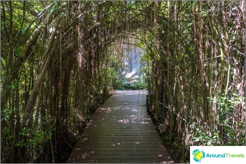 Jardin botanique de Phuket - pour les amateurs de plantes et de selfies