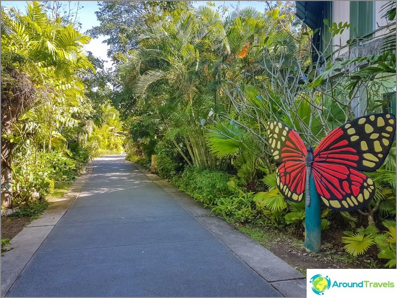 Phuket botaniske have - til plante- og selfieelskere