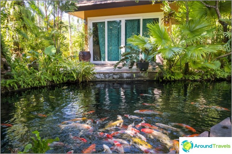 Phuket Botanical Garden - för växt- och selfieälskare