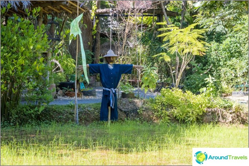 Phuket Botanical Garden - för växt- och selfieälskare