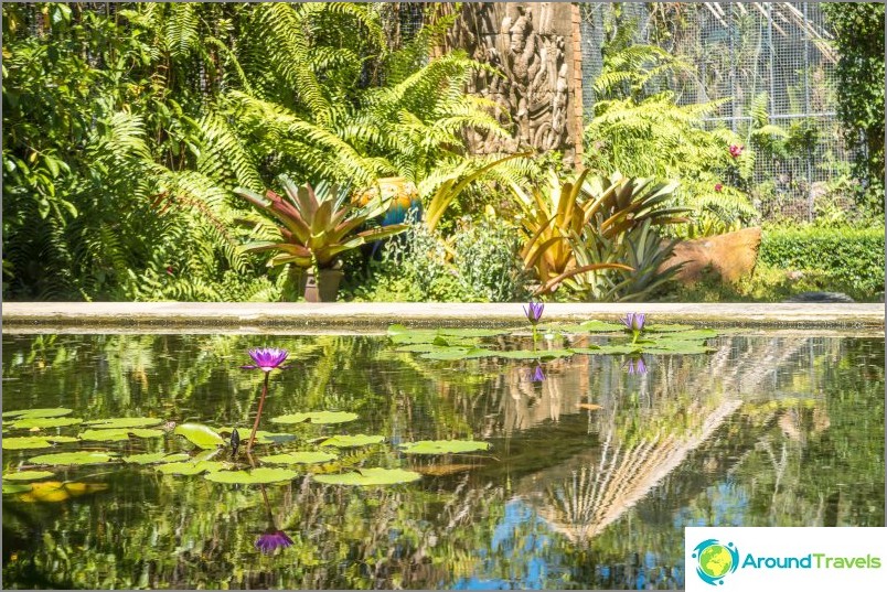 Jardin botanique de Phuket - pour les amateurs de plantes et de selfies