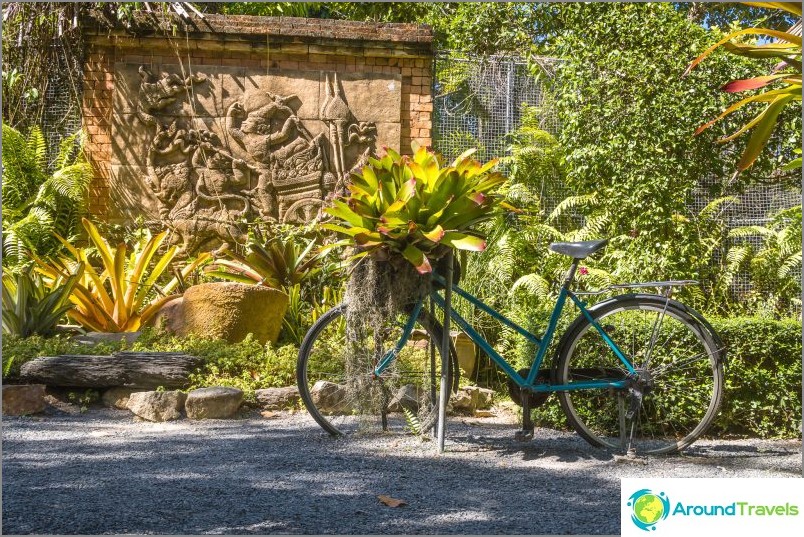 Phuket botaniske have - til plante- og selfieelskere