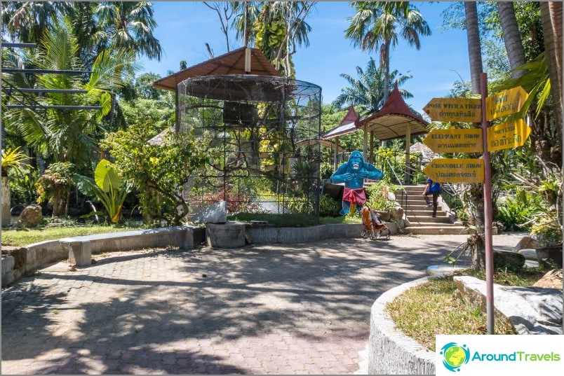 Phuket Zoo - моят преглед, цени, снимки и график на шоуто