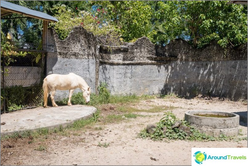 Zoológico de Phuket - minha análise, preços, fotos e horário do show