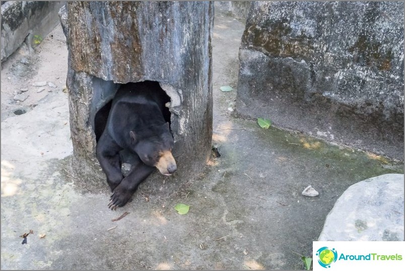 Phuket Zoo - моят преглед, цени, снимки и график на шоуто