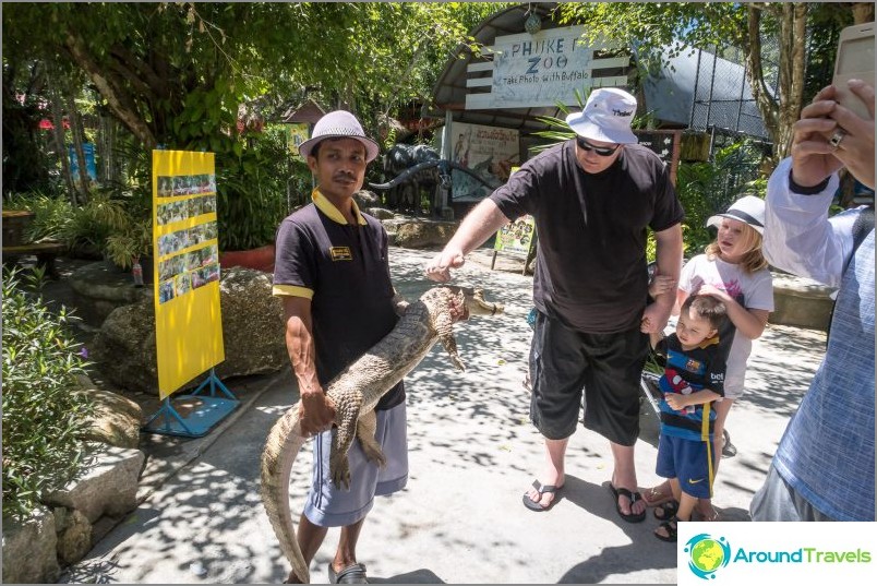 Phuket Zoo - моят преглед, цени, снимки и график на шоуто