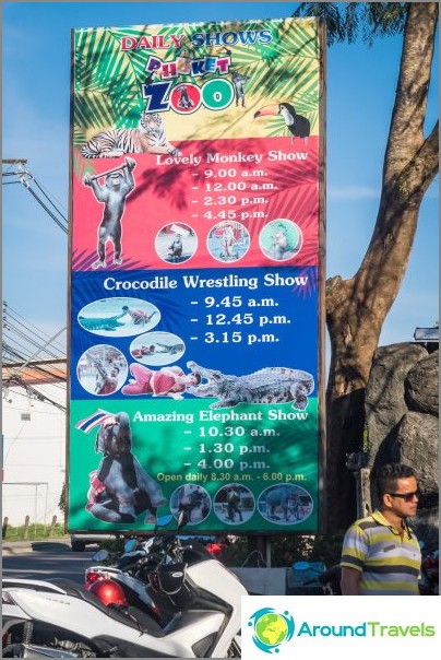 Phuket Zoo Show Schedule