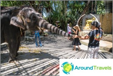 プーケット動物園-私のレビュー、価格、写真、ショーのスケジュール