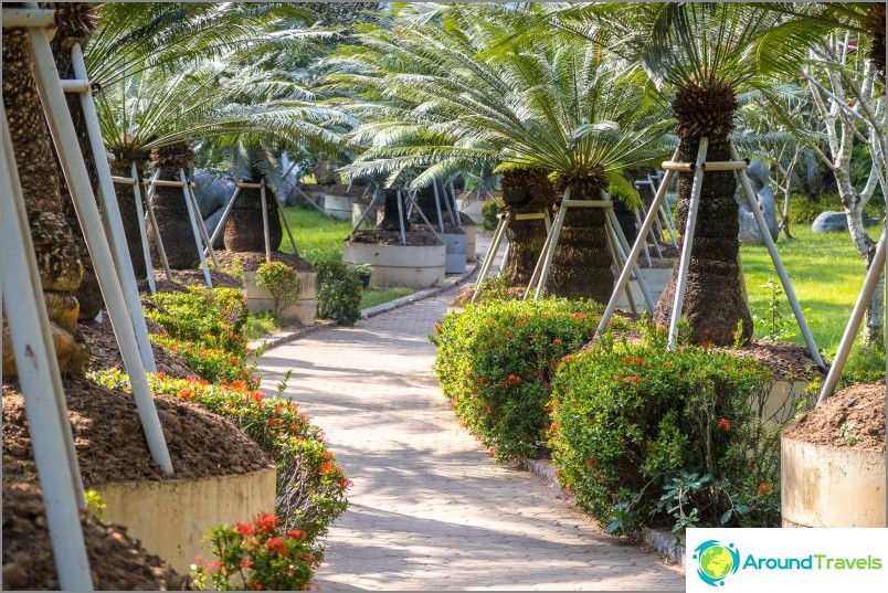 Pattaya Timsah Çiftliği ve Millstone Stones Park - İzlenimlerim