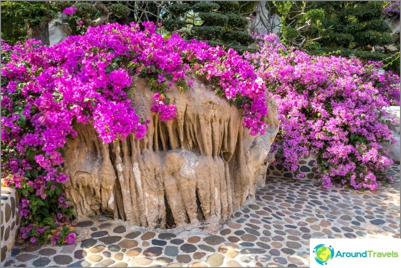 Pattaya Timsah Çiftliği ve Millstone Stones Park - İzlenimlerim