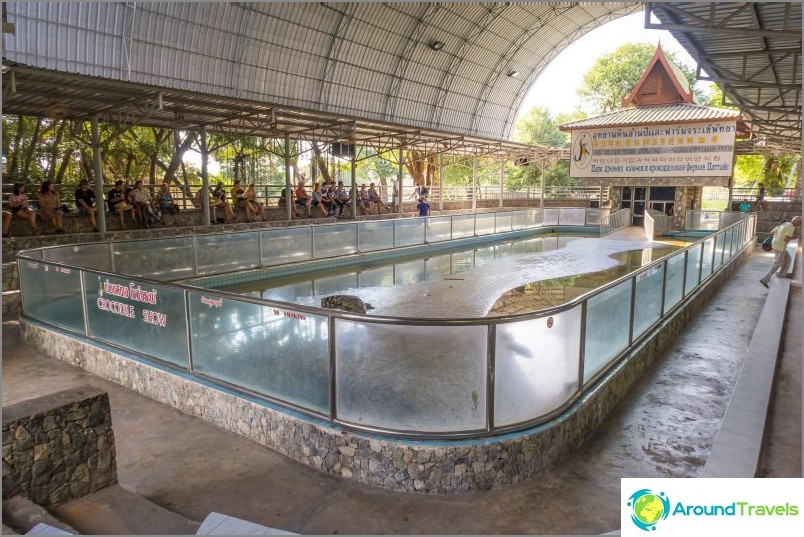 Crocodile Show Arena