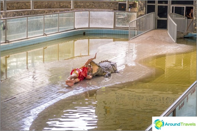 Pattaya Crocodile Farm og Millstone Stones Park - Mine inntrykk