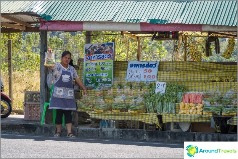 Bandejas de alimentación animal