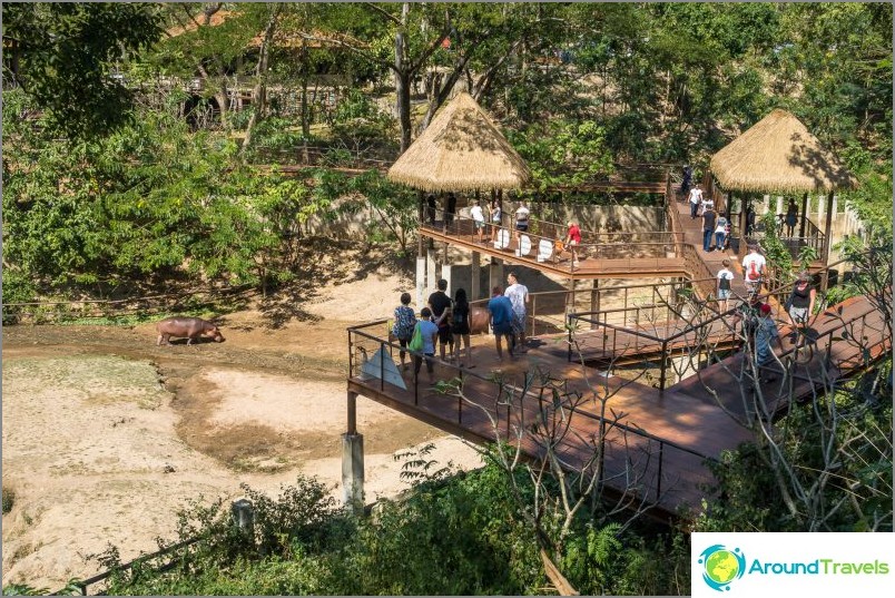 パタヤのカオキア動物園-タイで最高