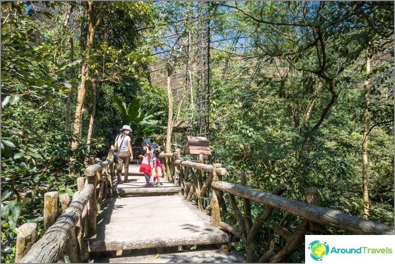 Pattaya Khao Kheo Hayvanat Bahçesi - Tayland'ın en iyisi