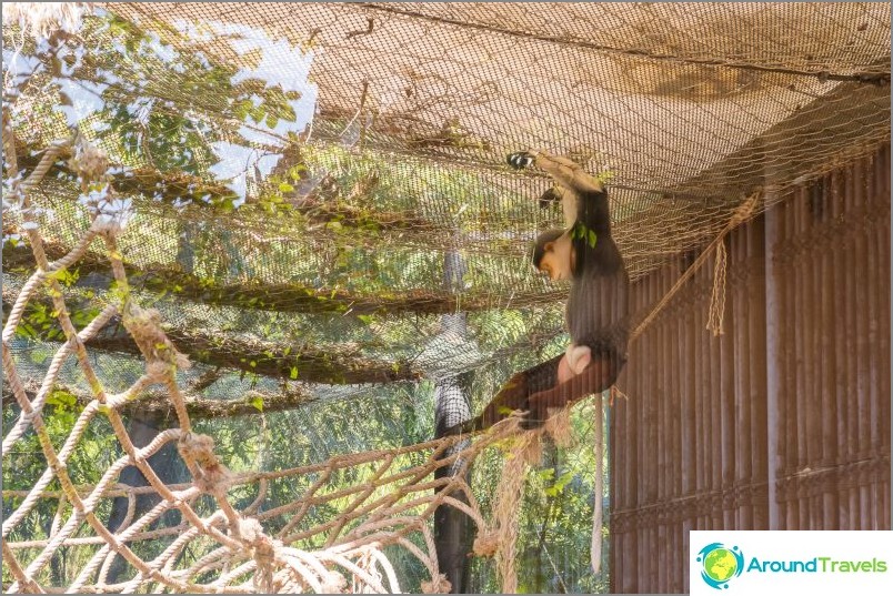 パタヤのカオキア動物園-タイで最高