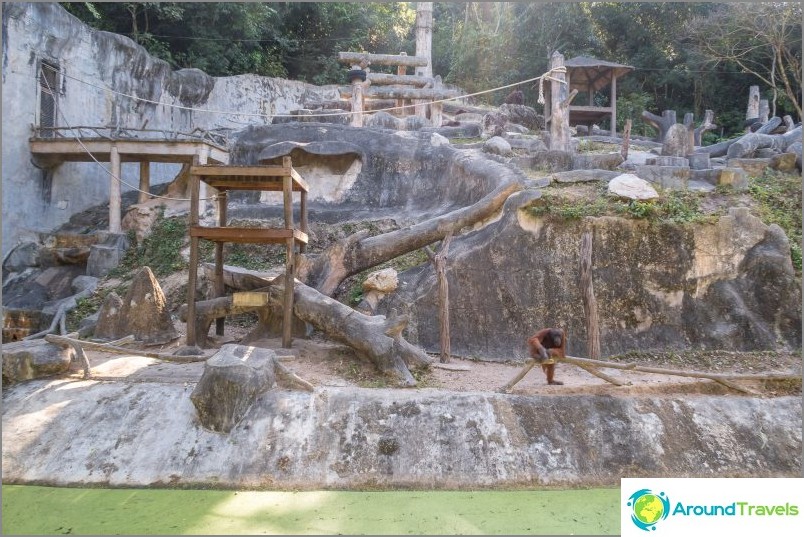 Khao Kheow Zoo in Pattaya - the best in Thailand