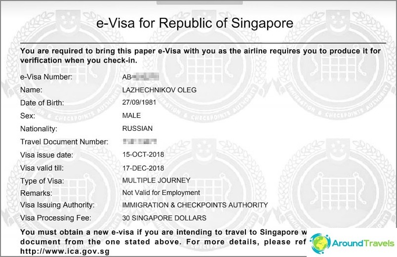 This is what my Singapore e-Visa looks like