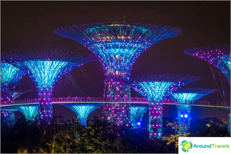 Spettacolo di alberi avatar di Singapore