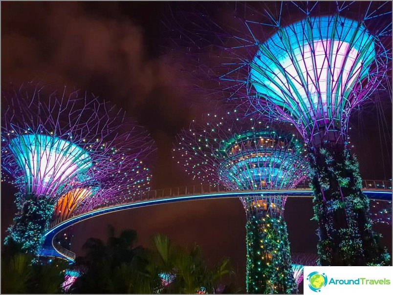 Show de luzes com árvores da Avatar em Singapura - imperdível!