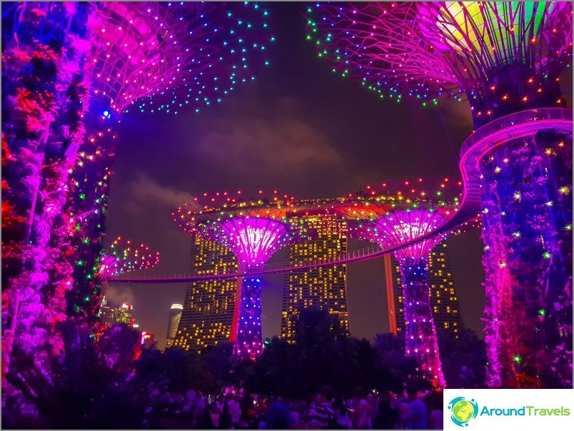 Spettacolo di luci con alberi di Avatar a Singapore: assolutamente da vedere!