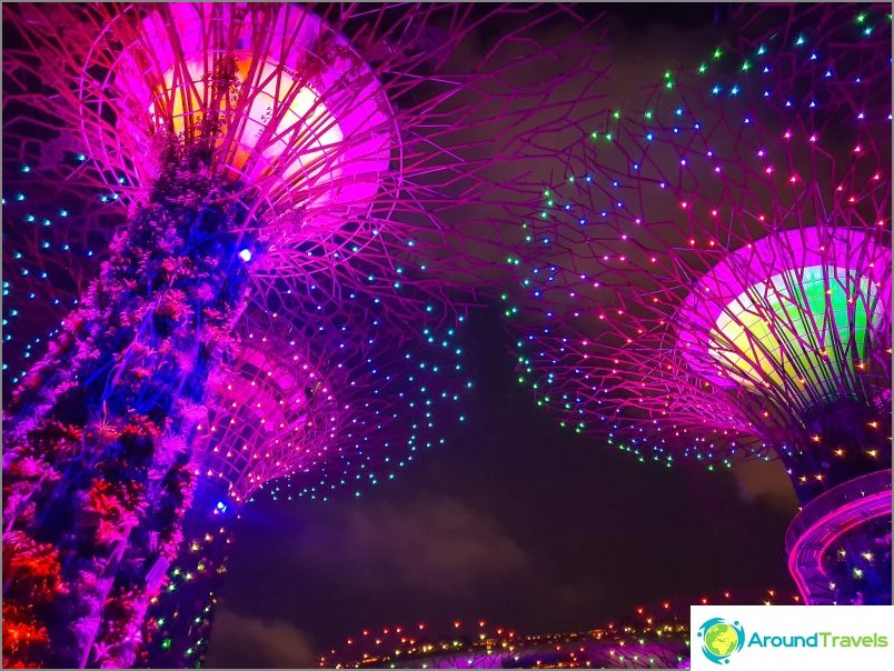 A must-see tree light show from Avatar Singapore!