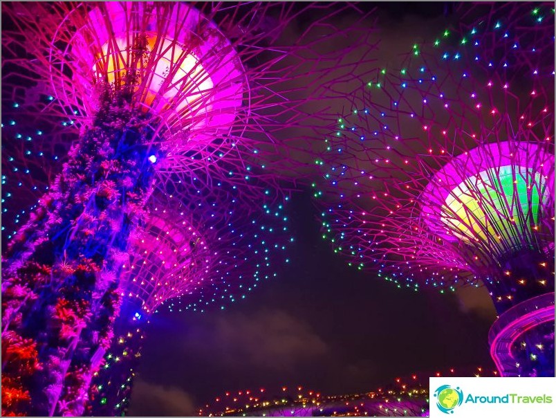 Lichtshow mit Bäumen von Avatar in Singapur - ein Muss!