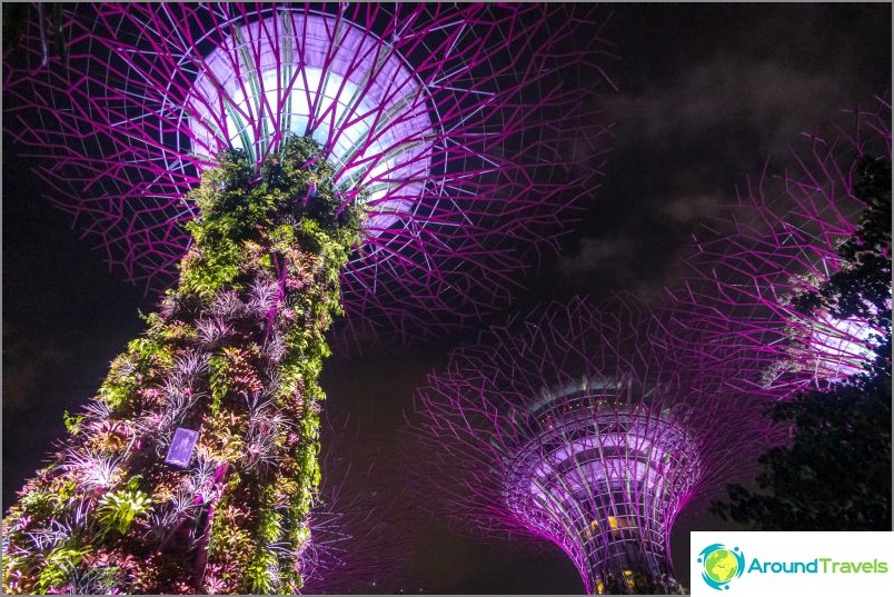 Espectáculo de luces con árboles de Avatar en Singapur: ¡una visita obligada!