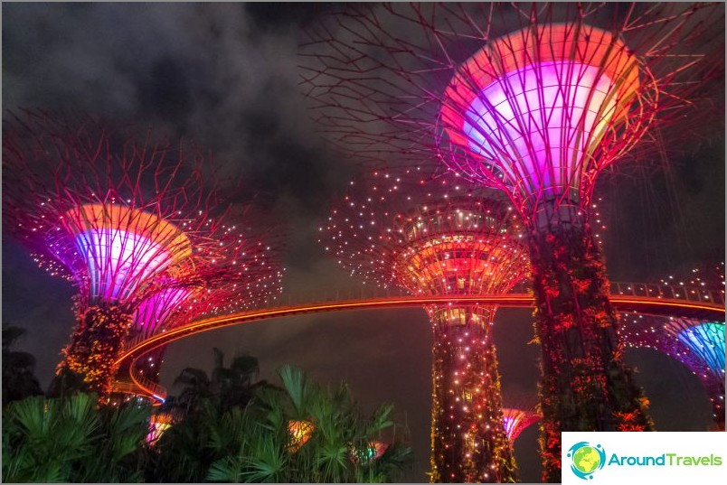 Lichtshow mit Bäumen von Avatar in Singapur - ein Muss!