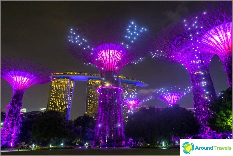 Lichtshow mit Bäumen von Avatar in Singapur - ein Muss!