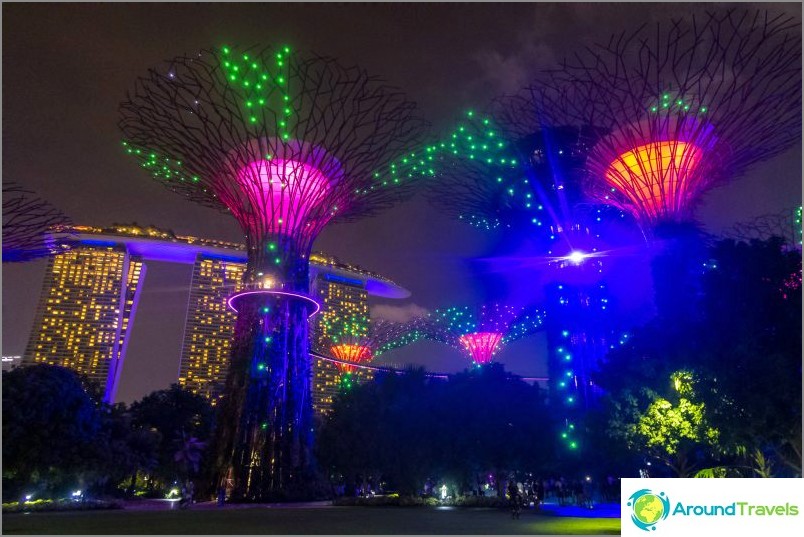 Spettacolo di luci con alberi di Avatar a Singapore: assolutamente da vedere!