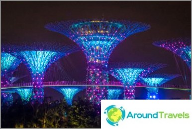 Spettacolo di alberi avatar di Singapore