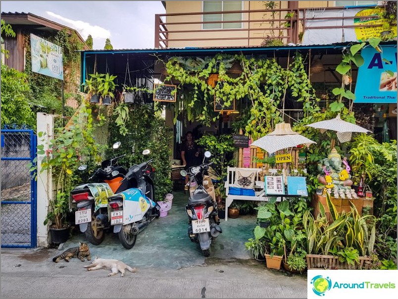 Kaviareň Koto Cats Station v meste Chiang Mai