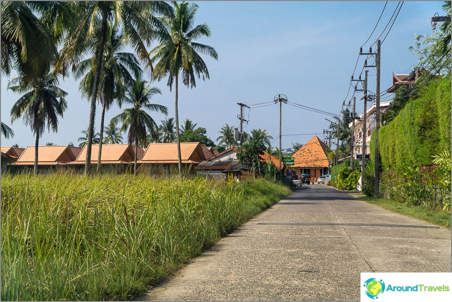 There is a lot of greenery around and the streets are almost deserted