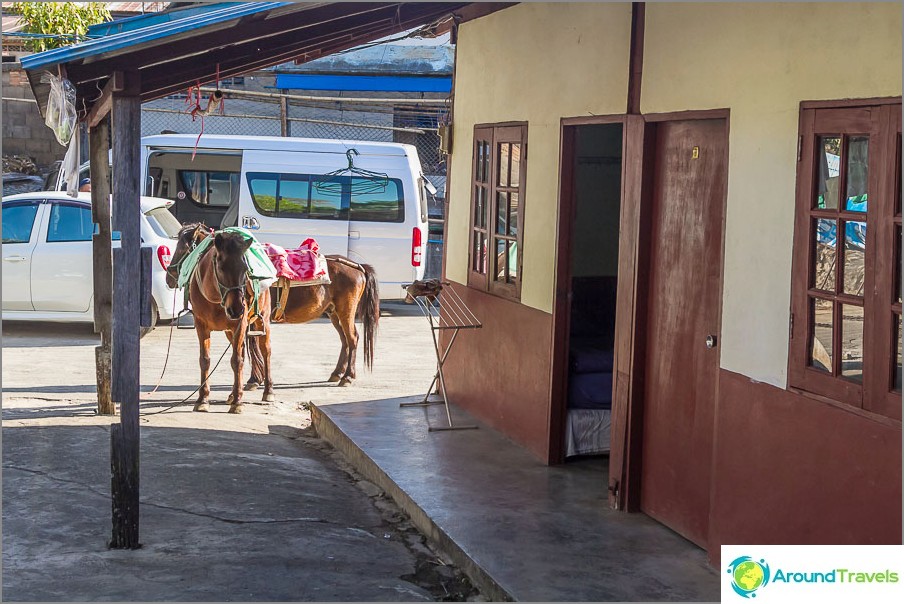 Tout est comme dans un vrai village - des chevaux paissent près de la pièce