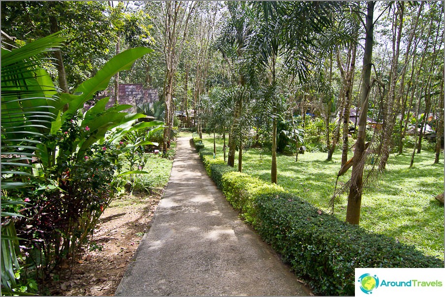 Le chemin du bungalow à la route