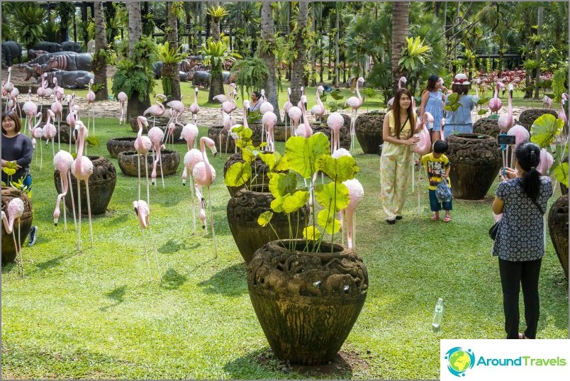 Nong Nooch Tropical Park i Pattaya - huvudattraktionen