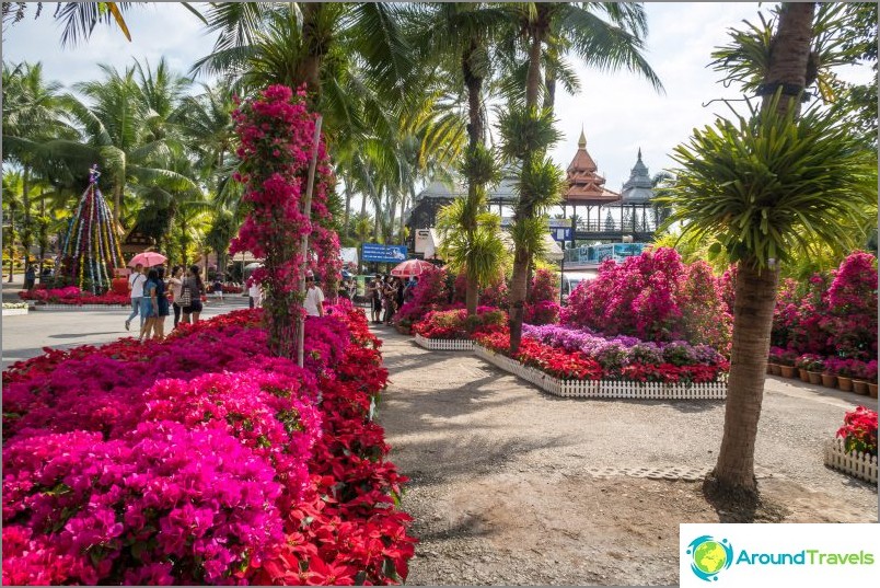 Nong Nooch trópusi park Pattayában - a fő attrakció