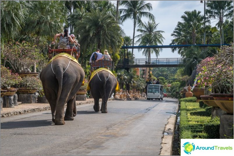 You can ride elephants around the territory