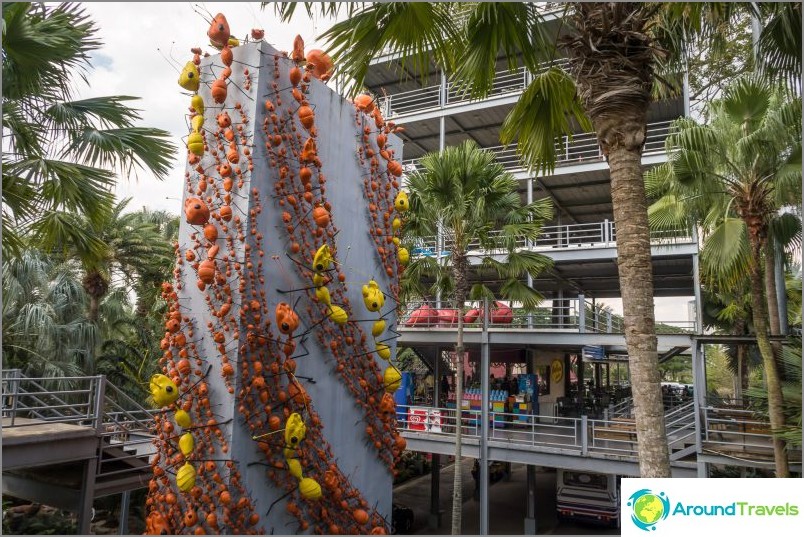 Nong Nooch trópusi park Pattayában - a fő attrakció