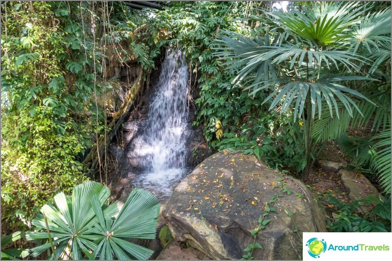 Nong Nooch trópusi park Pattayában - a fő attrakció